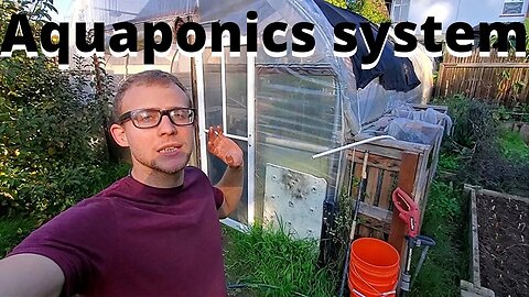 Aquaponics system update and more