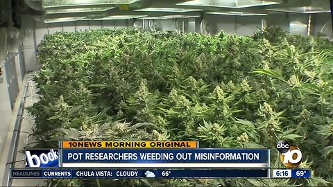 San Diego schools look to take mystery and misinformation out of medical marijuana