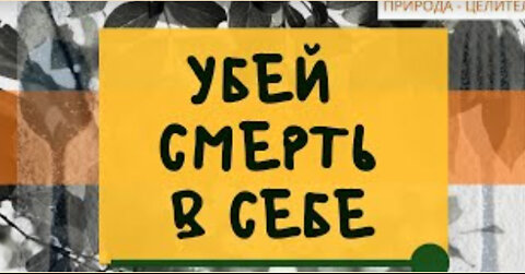 4 ФУНКЦИИ ЖЕЛУДОЧНО-КИШЕЧНОГО ТРАКТА. ЧТО ЕСТЬ ПИТАНИЕ? КАК ПРЕКРАТИТЬ САМОУБИЙСТВО?