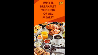 Why Breakfast Is The Most Important Meal Of The Day ?