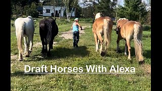 Draft Horses With Alexa - Trailer