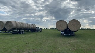 Hay bale delivered