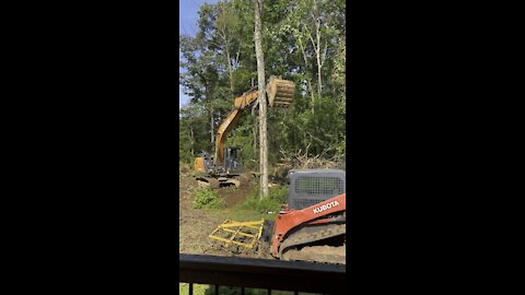 Excavator 2-0 vs big trees