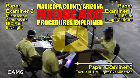 Arizona Audit Paper Ballot Forensic Examination