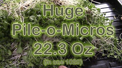 5th Generation IHG Microgreen Kit [22.3 oz. Broccoli Grow]