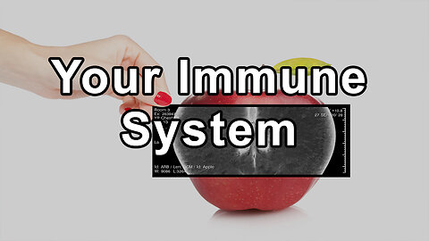 Unleashing the Potential of Your Immune System
