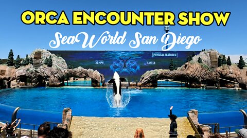Orca Encounter [ Killer Whale ] Full Show at SeaWorld San Diego 2022