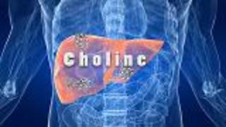 Fatty Liver Disease And Choline