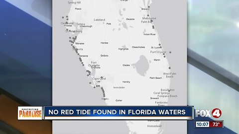 No red tide found in Florida waters