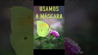 Poema "Usamos a Máscara" [Paul Laurence Dunbar]