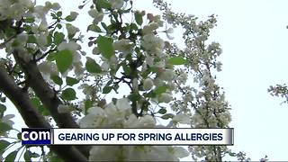 Spring allergies soon making comeback