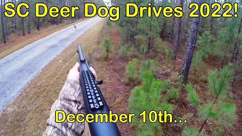 SC Deer Dog Drives 2022! 12-10... Back in the Swamp!
