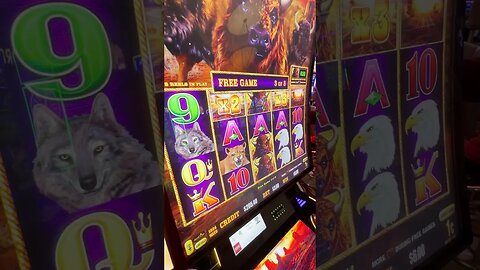 Buffalo Slot Bonuses ARE THE BEST! #lasvegas #slots #casino