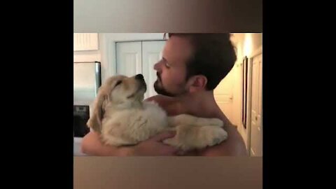 Cute Dogs getting a hug by their owners animals compilation sweet and lovely