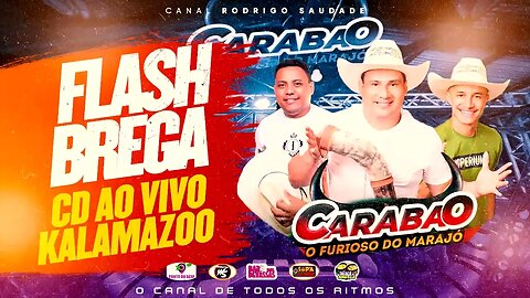 CARABAO FLASH BREGA AO VIVO NO KALAMAZOO DJ SILVINHO