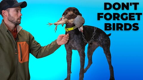 Holding Birds - Teach Your Dog To Fetch