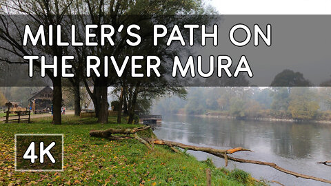 Walking Tour: River Mura, Međimurje, Croatia - From Miller's House to Ferryman's House - 4K UHD