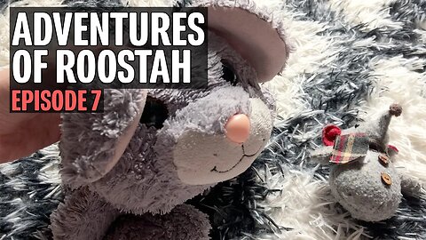 The Adventures of Roostah (episode 7) : No Feet Who Diz?