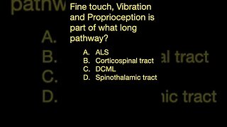 Long Sensory Pathways #shorts (Part A)