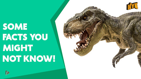 Top 4 Facts About Dinosaurs