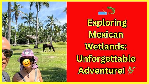 Always have your passport when you go to Mexico. Trip to the mangalar wetlands🐊