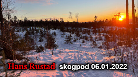 Skogpod 6. januar, 2022: Krig er fred