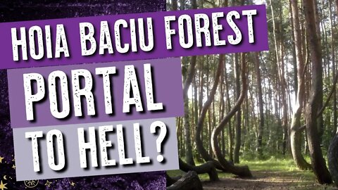 Haunted Hoia Baciu Forest Tarot Reading