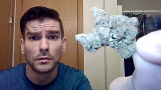 GMO THCA Flower Review! (South Holston Hemp)