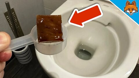 Throw THIS in your Toilet and WATCH WHAT HAPPENS 💥 (Ingenious TRICK) 🤯