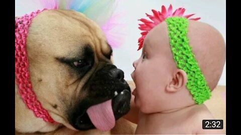 Cute dog with baby compilation 2021 lovely and funny moments at home