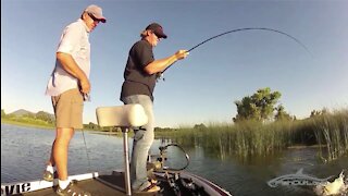 Topwater Action for Summer Bass