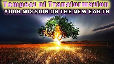 Tempest of Transformation ~ THE GREAT TRANSITION OF NOW ~ Golden Mother Dragon (Cosmic Egg)