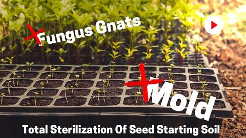 Sterilizing Seed Starting Soil Mixtures. No More Mold & Fungus Gnats When Seed Starting. 🥬