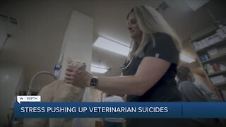 Stress pushing up veterinarian suicides