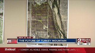The future of Turkey Mountain