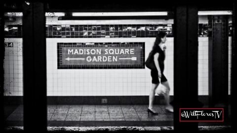 The History Of Madison Square Garden 🗽