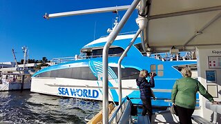 Hopo Gold Coast Ferry Ride from Southport to Sea World
