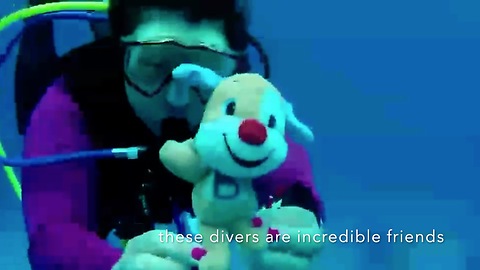 Divers take friendship bears diving near Cozumel Mexico