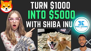 How to Turn $1000 into $5000+ with Shiba Inu, step by step, Shibarium be ready