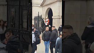 Horses taking back to stables protest is coming #horseguardsparade