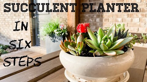 Six Step Succulent Planter 2021!