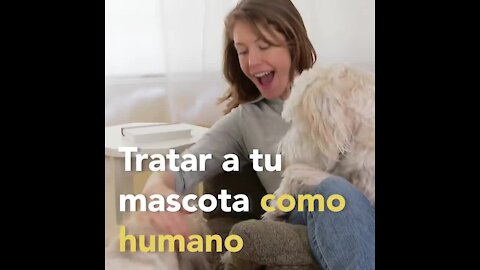 Por que no debes tratar a tu mascota como humano | Sabías que...