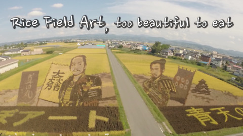 Rice Field Art Has Spread All Over Japan