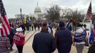 What lead up to the capitol protest will be analyzed by Political Scientists for years to come