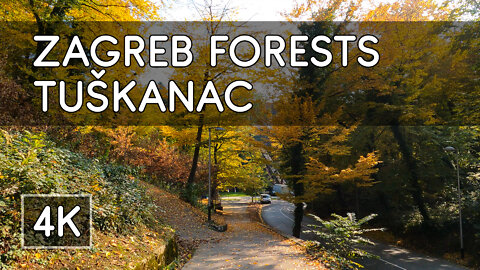 Walking Tour: Zagreb Forests (Pt. 1): Cmrok, Dubravkin put and Tuškanac - Zagreb, Croatia - 4K UHD