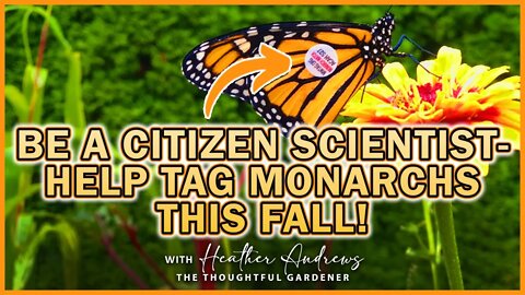 Be a Citizen Scientist - Help Tag Monarchs This Fall!