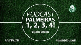 PALMEIRAS TEM JOGO PESADO EM CURITIBA. SEMI DA LIBERTADORES NA PAUTA!