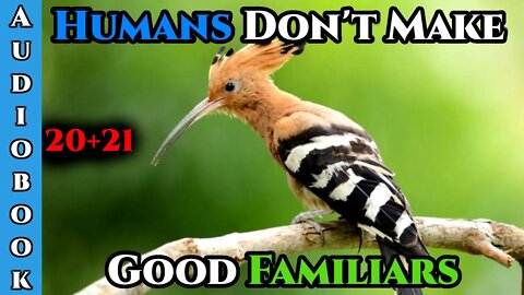 Humans Don't make Good Familiars (Ongoing) - Ch.20+21 | HFY | Fantasy