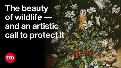 The Beauty of Wildlife — and an Artistic Call to Protect It | Isabella Kirkland | TED