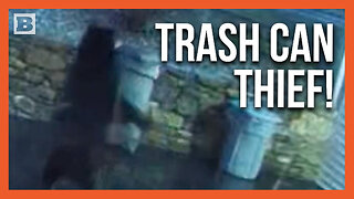 Absolute Madman Bear Steals Trash Can Off of Driveway in Connecticut